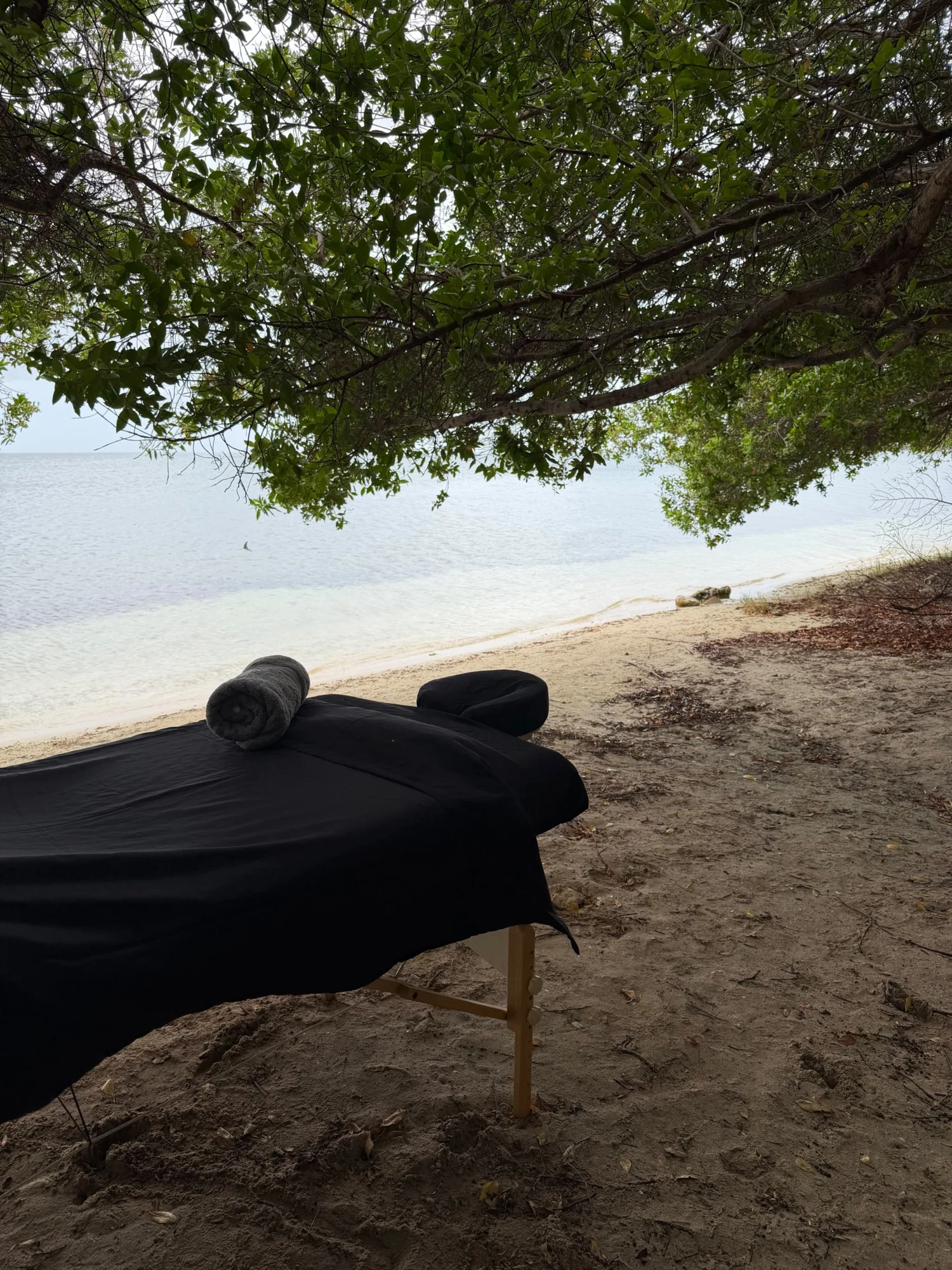 Beach Swedish Massage